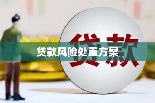 白银贷款风险处置方案