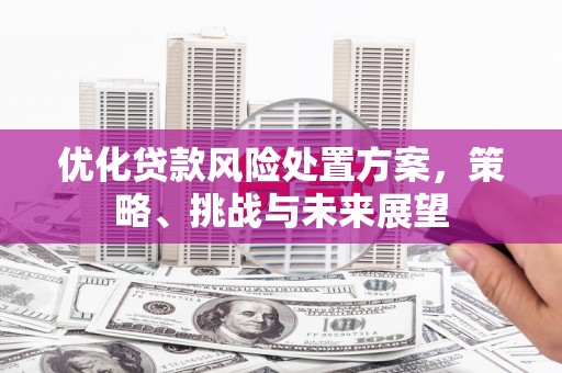 白银优化贷款风险处置方案，策略、挑战与未来展望