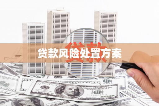白银贷款风险处置方案