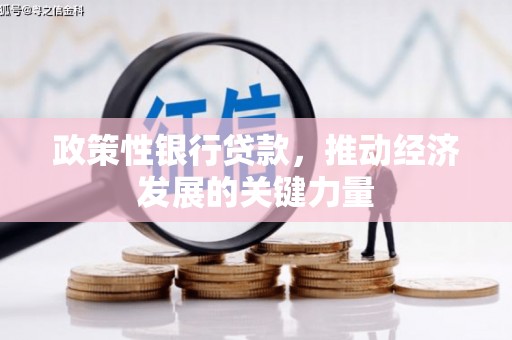 白银政策性银行贷款，推动经济发展的关键力量