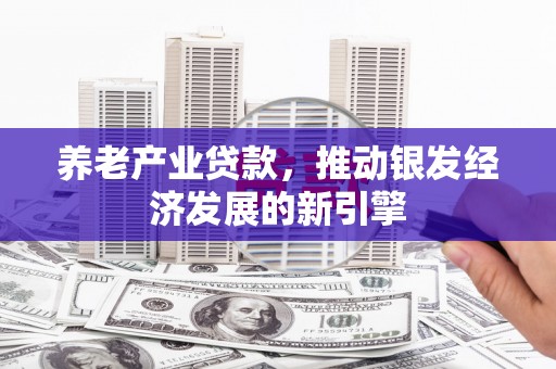 白银养老产业贷款，推动银发经济发展的新引擎