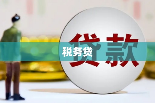 白银税务贷