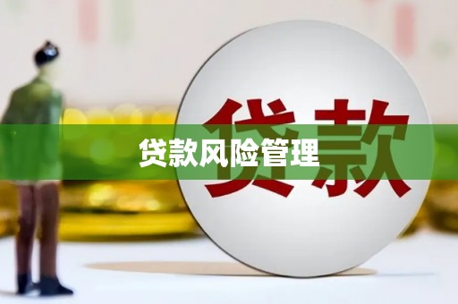 白银贷款风险管理