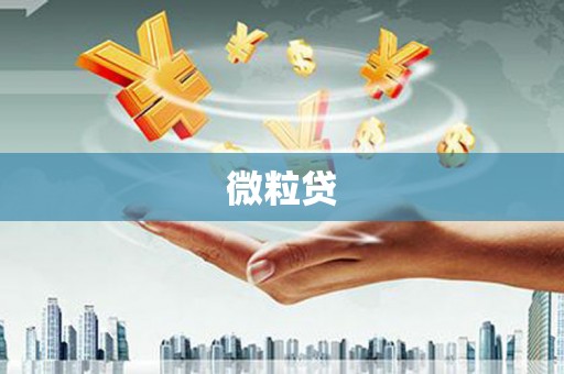白银微粒贷