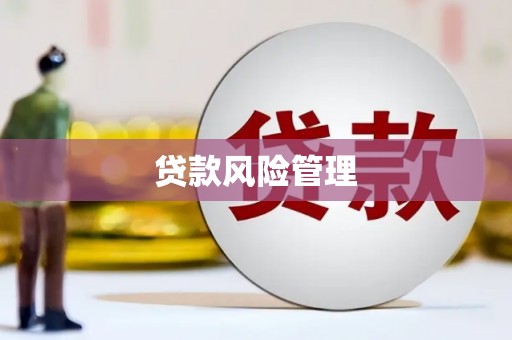 白银贷款风险管理