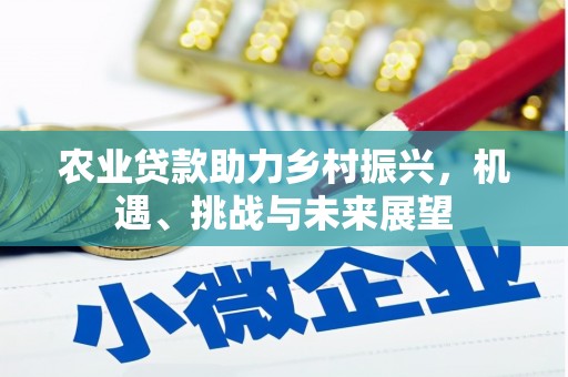 白银农业贷款助力乡村振兴，机遇、挑战与未来展望
