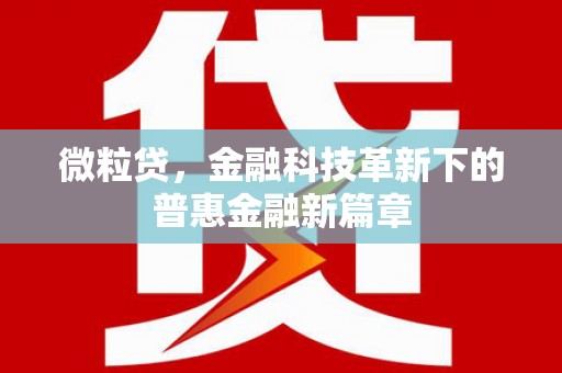 白银微粒贷，金融科技革新下的普惠金融新篇章