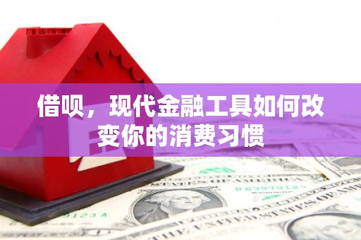 白银借呗，现代金融工具如何改变你的消费习惯