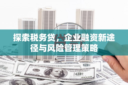 白银探索税务贷，企业融资新途径与风险管理策略