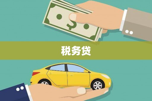 白银税务贷
