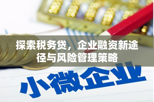 白银探索税务贷，企业融资新途径与风险管理策略