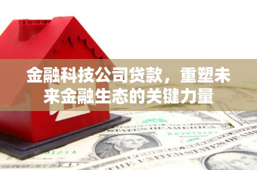 白银金融科技公司贷款，重塑未来金融生态的关键力量
