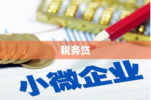白银税务贷