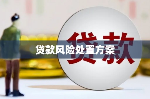白银贷款风险处置方案