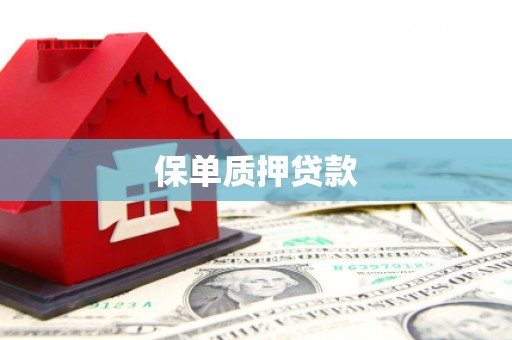 白银保单质押贷款