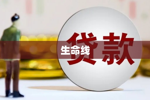 白银生命线