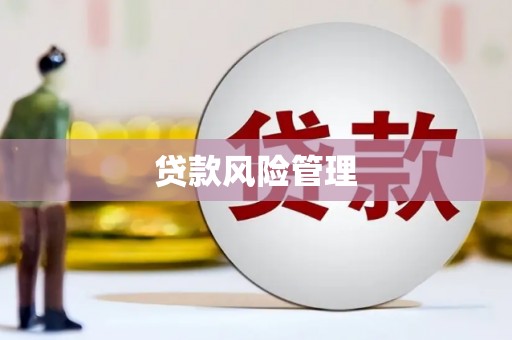 白银贷款风险管理