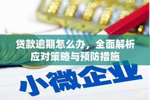 白银贷款逾期怎么办，全面解析应对策略与预防措施