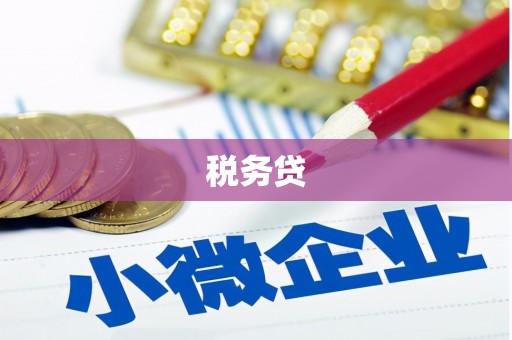 白银税务贷