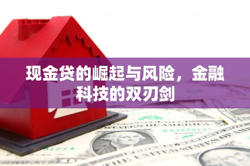 白银现金贷的崛起与风险，金融科技的双刃剑