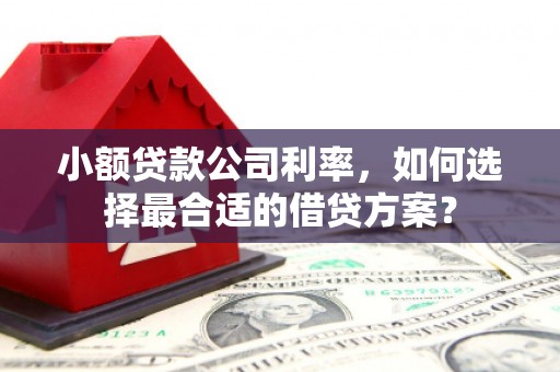 白银小额贷款公司利率，如何选择最合适的借贷方案？