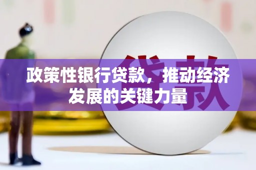 白银政策性银行贷款，推动经济发展的关键力量