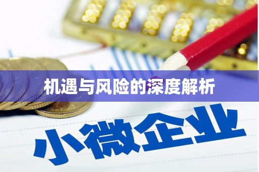 白银机遇与风险的深度解析