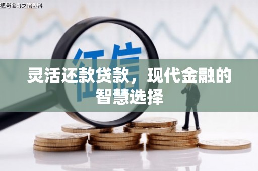 白银灵活还款贷款，现代金融的智慧选择