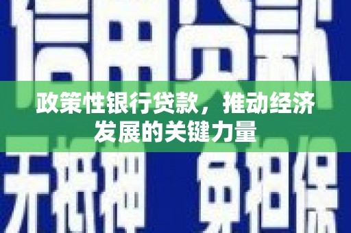 白银政策性银行贷款，推动经济发展的关键力量