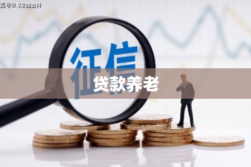 白银贷款养老