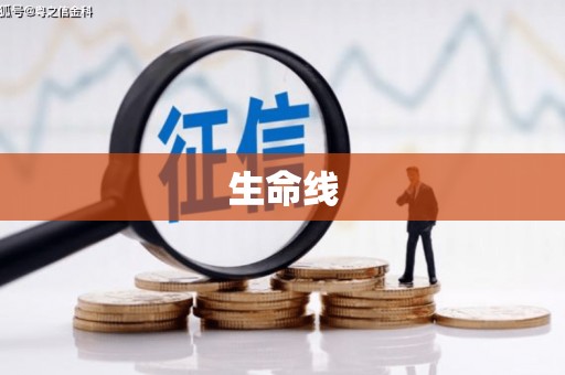 白银生命线