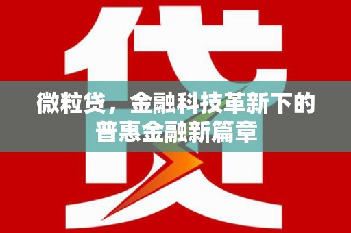 白银微粒贷，金融科技革新下的普惠金融新篇章
