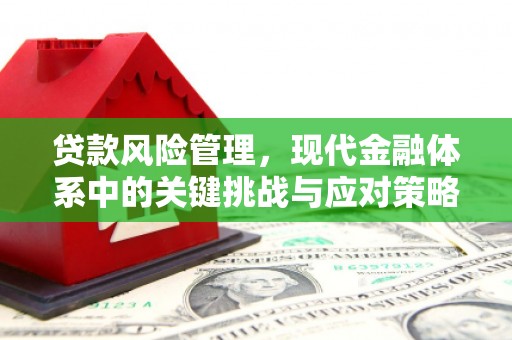 白银贷款风险管理，现代金融体系中的关键挑战与应对策略