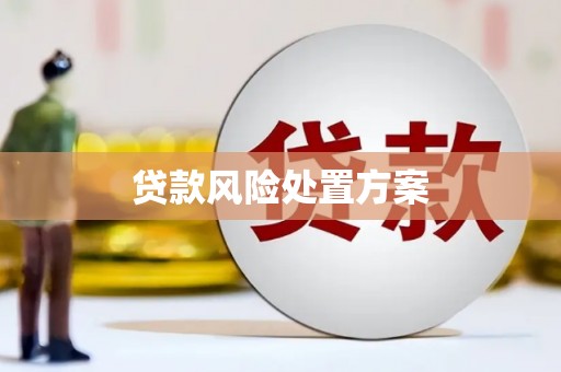 白银贷款风险处置方案