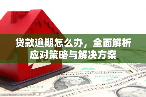 白银贷款逾期怎么办，全面解析应对策略与解决方案
