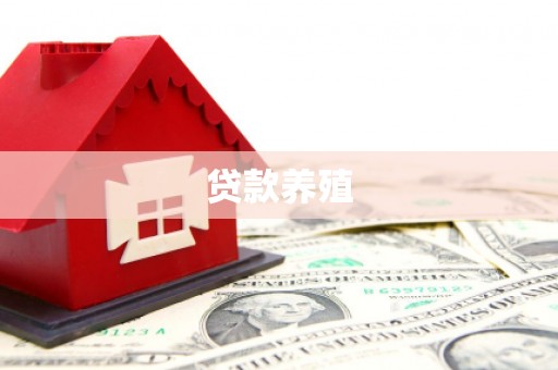 白银贷款养殖