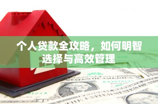 白银个人贷款全攻略，如何明智选择与高效管理