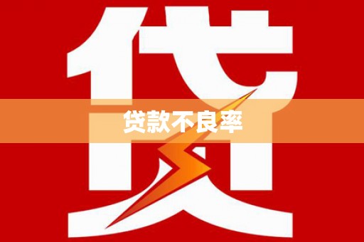 白银贷款不良率