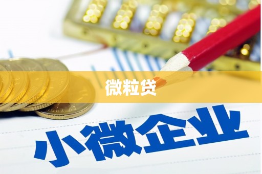 白银微粒贷