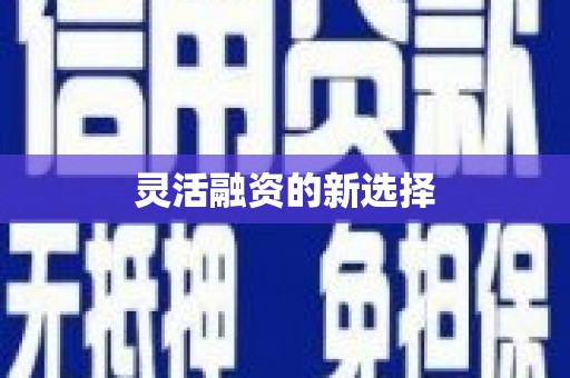 白银灵活融资的新选择