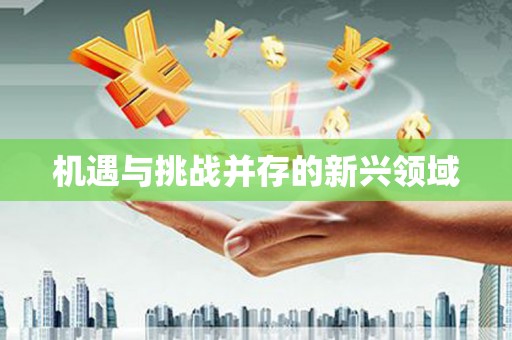白银机遇与挑战并存的新兴领域
