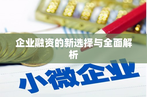 白银企业融资的新选择与全面解析