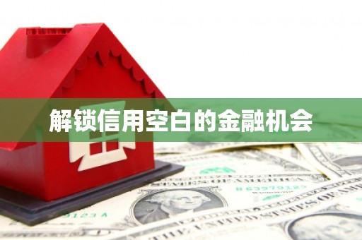 白银解锁信用空白的金融机会