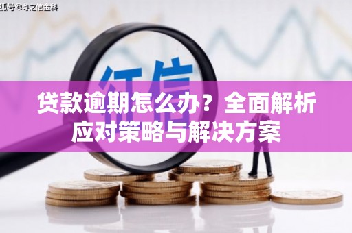 白银贷款逾期怎么办？全面解析应对策略与解决方案
