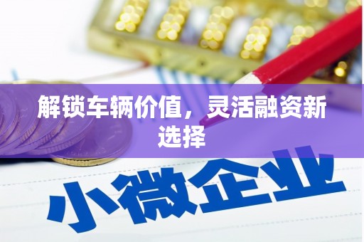 白银解锁车辆价值，灵活融资新选择