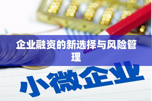 白银企业融资的新选择与风险管理