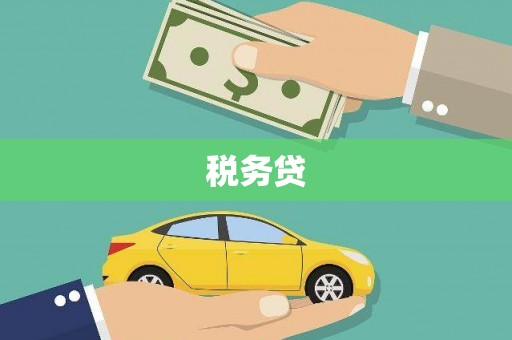 白银税务贷