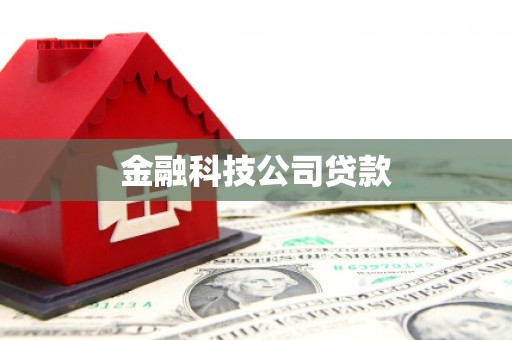 白银金融科技公司贷款