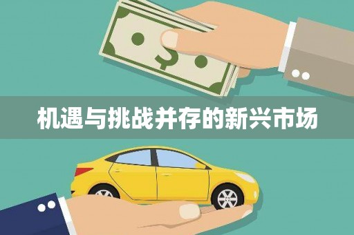白银机遇与挑战并存的新兴市场