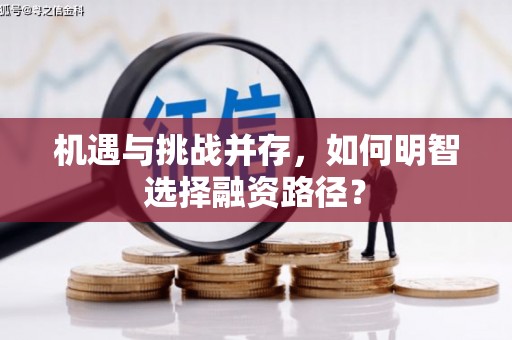 白银机遇与挑战并存，如何明智选择融资路径？